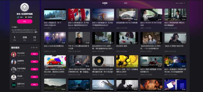 视频平台显示：良仓文化曾为多个汽车品牌拍摄广告片。 