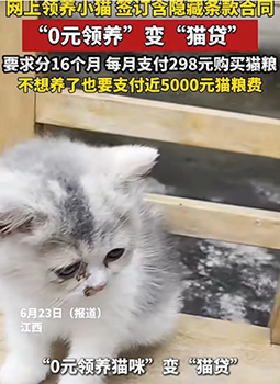 一女孩网上0元领养猫咪，被要求分16个月、每月支付298元购买猫粮，就算不想养