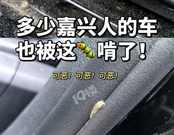 车上莫名其妙出现小圆洞，多地街头近期频现，不少人已“中招”！专家提醒：